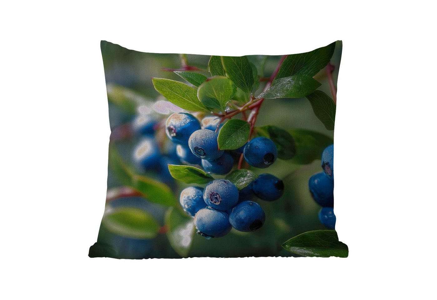 MuchoWow Dekokissen Blaubeeren - Tautropfen - Natürliches Licht, Kissenbezüge, Kissenhülle, Kissen, Outdoor, 40x40 cm MuchoWow Dekokissen Blaubeeren - Tautropfen - Natürliches Licht, Kissenbezüge, Kissenhülle, Kissen, Outdoor, 40x40 cm von MuchoWow