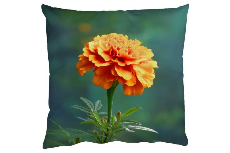 MuchoWow Dekokissen Blütenblätter - Afrikanisch - Orange - Unscharf, Zierkissen mit Füllung für Wohnzimmer, Sofakissen, 40x40 cm von MuchoWow