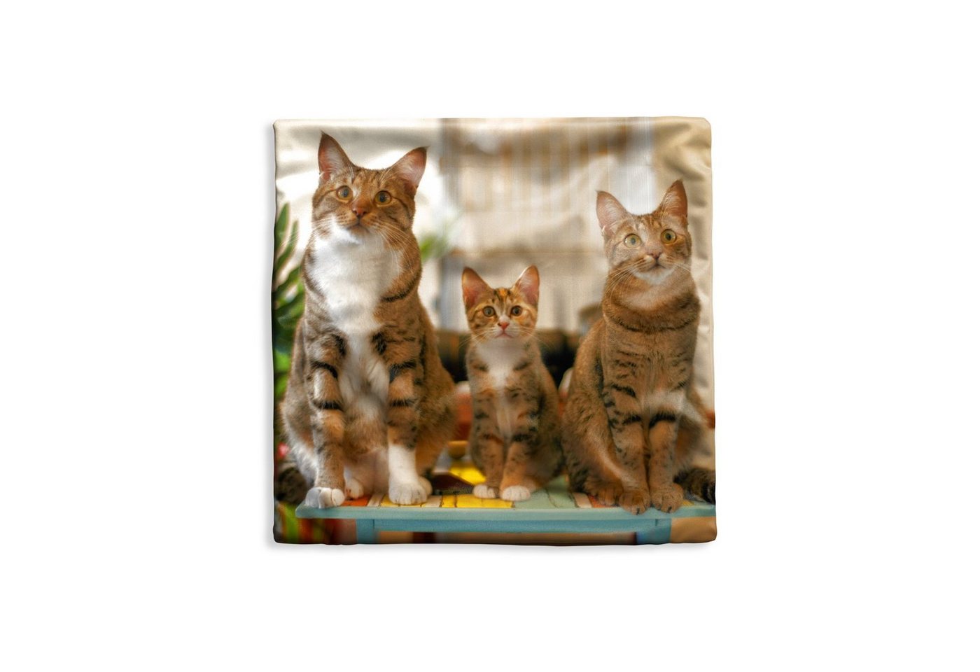 MuchoWow Dekokissen Drei Katzen auf kleinem Tisch, Kissenbezüge, Kissenhülle, Deko Kissenbezug, Kissen, 40x40 cm MuchoWow Dekokissen Drei Katzen auf kleinem Tisch, Kissenbezüge, Kissenhülle, Deko Kissenbezug, Kissen, 40x40 cm von MuchoWow