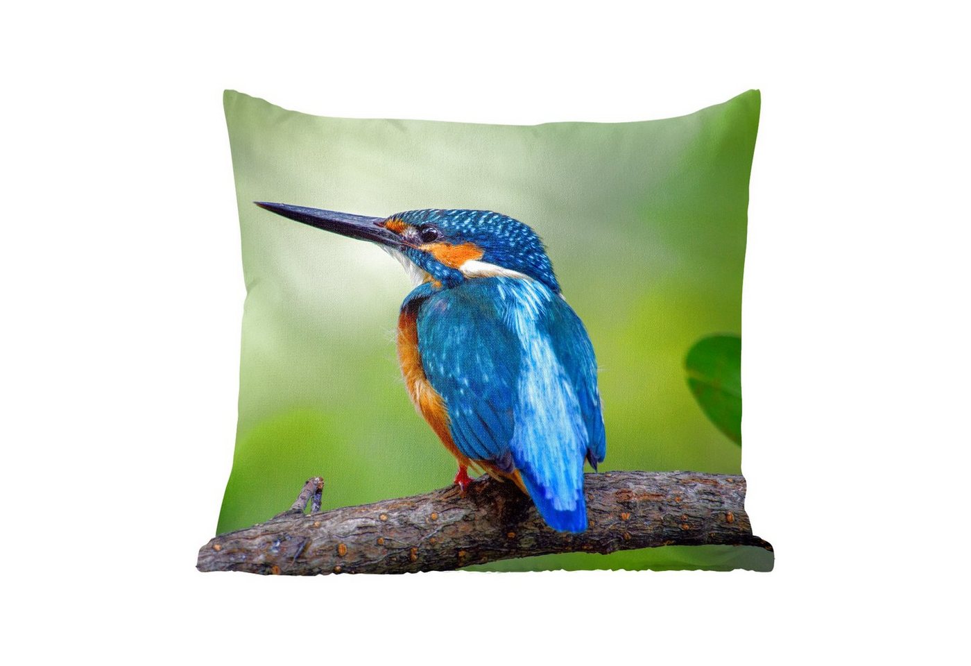 MuchoWow Dekokissen Eisvogel - Zweig - Blau, Zierkissen mit Füllung für Wohnzimmer, Sofakissen, 40x40 cm MuchoWow Dekokissen Eisvogel - Zweig - Blau, Zierkissen mit Füllung für Wohnzimmer, Sofakissen, 40x40 cm von MuchoWow