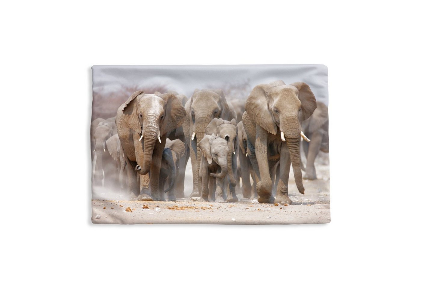 MuchoWow Dekokissen Elefanten - Stoff - Natur, Kissenbezug für Sofa, Dekorationkissen, Kissenhüllen, 50x30 cm MuchoWow Dekokissen Elefanten - Stoff - Natur, Kissenbezug für Sofa, Dekorationkissen, Kissenhüllen, 50x30 cm von MuchoWow