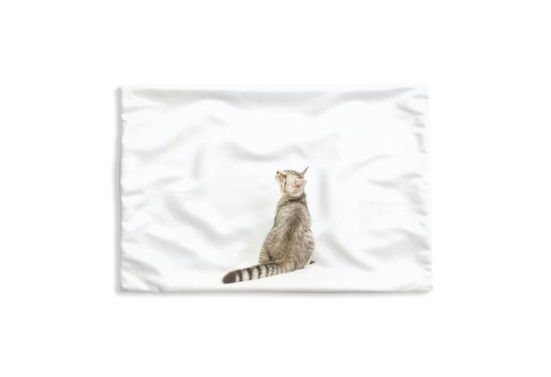 MuchoWow Dekokissen Katze - Haustiere - Fell, Kissenbezug für Sofa, Dekorationkissen, Kissenhüllen, 50x30 cm von MuchoWow