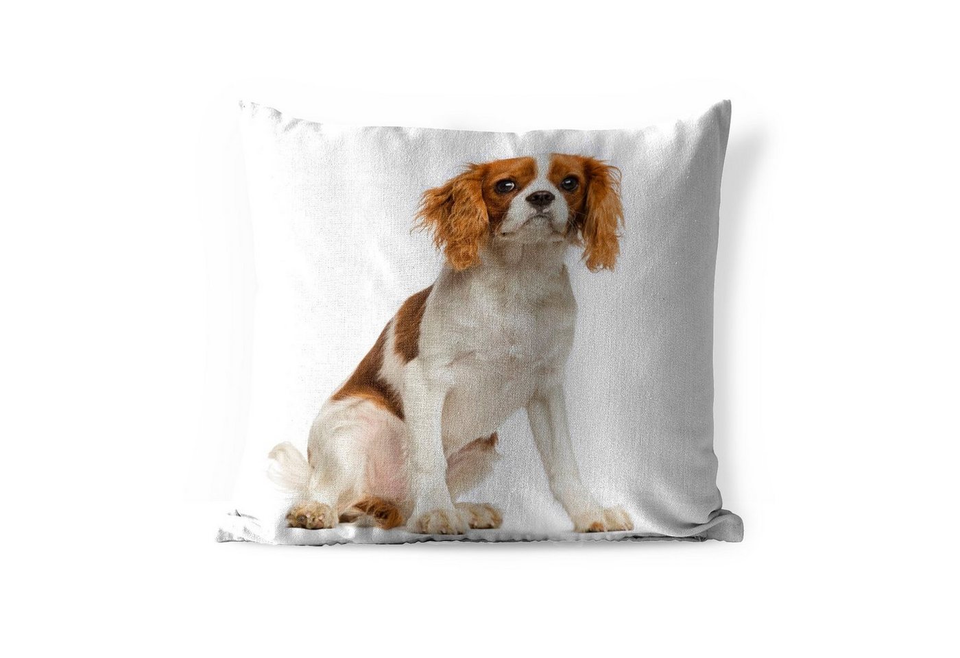 MuchoWow Dekokissen Liebenswerter Cavalier King Charles Spaniel, Kissenbezüge, Kissenhülle, Dekokissen, Dekokissenbezug, Outdoor von MuchoWow