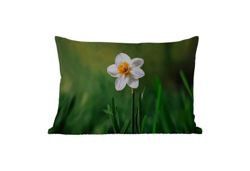 MuchoWow Dekokissen Narzisse - Blume - Weiß - Grashalme, Outdoor-Dekorationskissen, Kissen, Kissenbezug, 50x30 cm MuchoWow Dekokissen Narzisse - Blume - Weiß - Grashalme, Outdoor-Dekorationskissen, Kissen, Kissenbezug, 50x30 cm von MuchoWow
