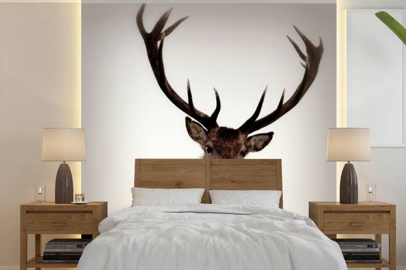 MuchoWow Fototapete Porträt - Hirsch - Geweih, Matt, bedruckt, (5 St), Vliestapete für Wohnzimmer Schlafzimmer Küche, Fototapete, 220x220 cm von MuchoWow