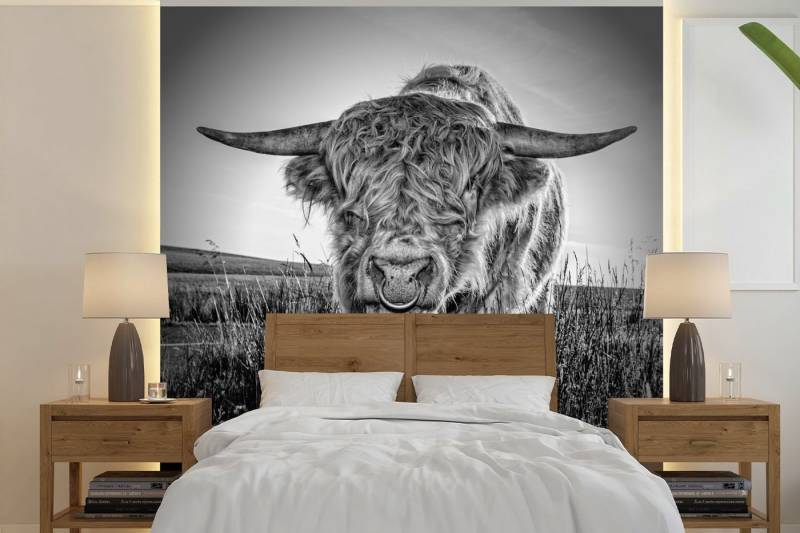 MuchoWow Fototapete Scottish Highlander - Gras - Schwarz - Weiß, Matt, bedruckt, (5 St), Vliestapete für Wohnzimmer Schlafzimmer Küche, Fototapete, 220x220 cm von MuchoWow