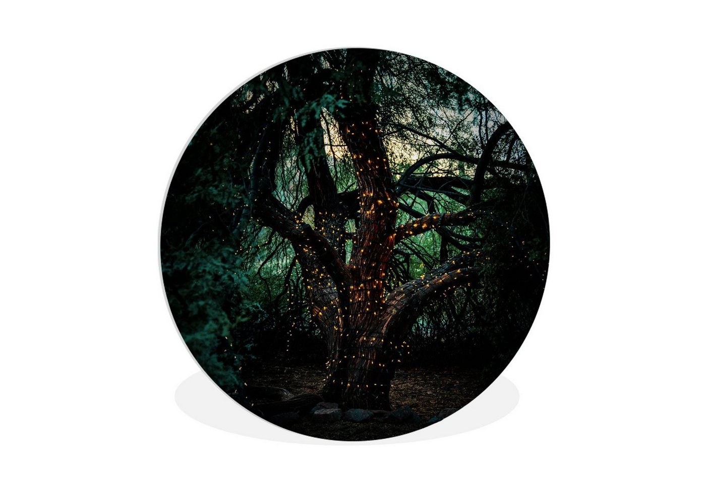 MuchoWow Gemälde Baum - Glühwürmchen - Natur, (1 St), Kreis Wanddekoration Forex, Rundes Wandbild, Wohnzimmer, 30x30 cm von MuchoWow