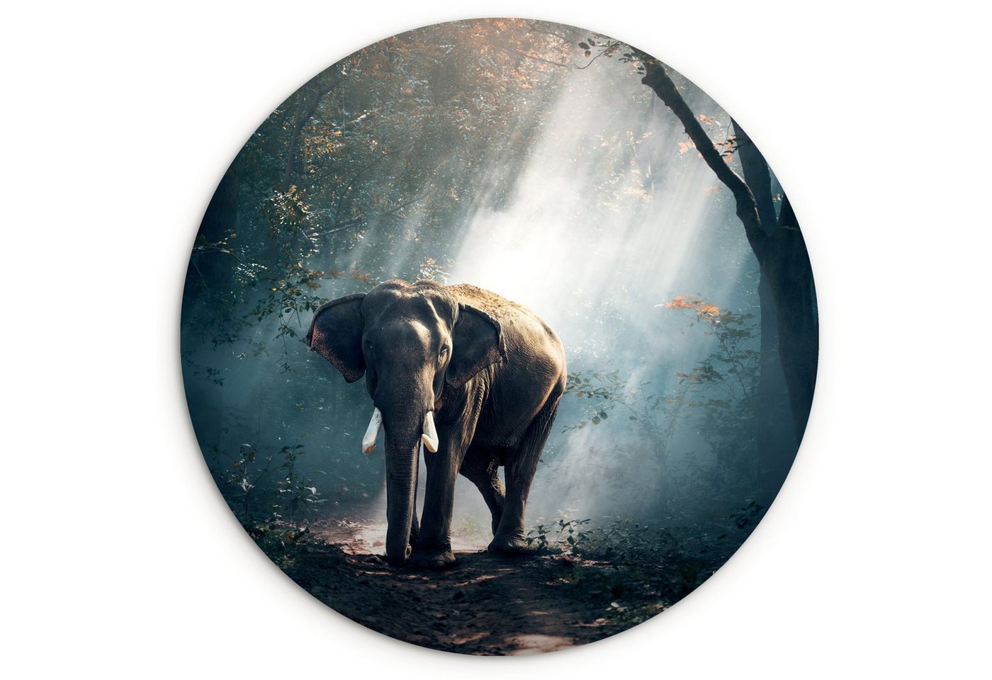 MuchoWow Gemälde Elefant - Tiere - Licht - Wald - Natur - Wildtiere, (1 St), Rundes wandbild für Wohnzimmer, Wandkreis, Wandschmuck, 90x90 cm von MuchoWow