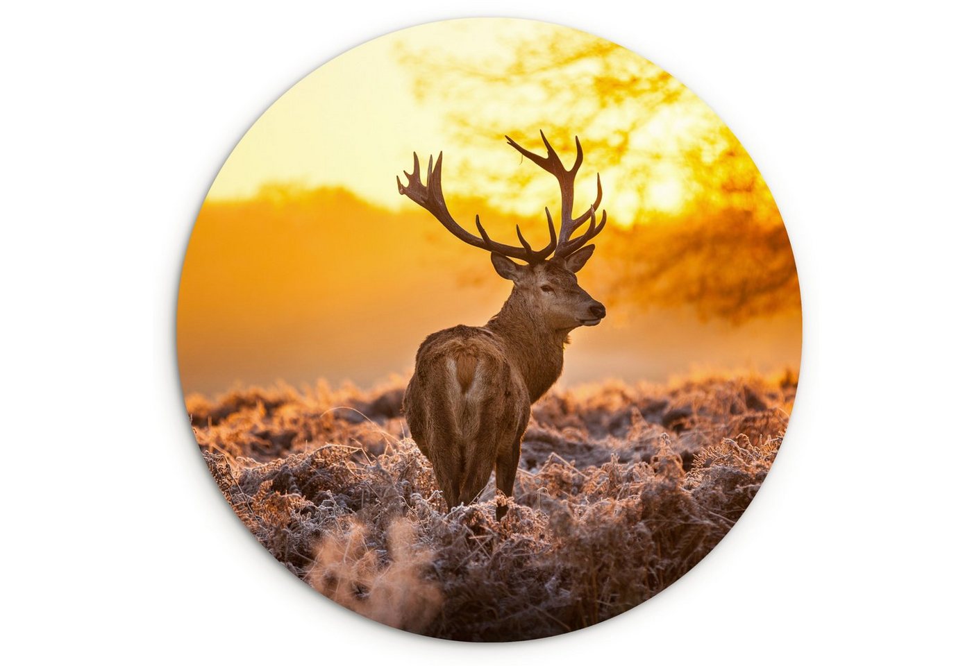 MuchoWow Gemälde Hirsche - Sonnenuntergang - Winter - Tiere - Natur, (1 St), Rundes wandbild für Wohnzimmer, Wandkreis, Wandschmuck, 90x90 cm von MuchoWow