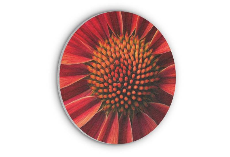 MuchoWow Gemälde Nahaufnahme - Blume - Rot, Fotodruck (1 St), Akustikpaneele rund, Schalldämmung, Akustikbilder 30x30 cm von MuchoWow