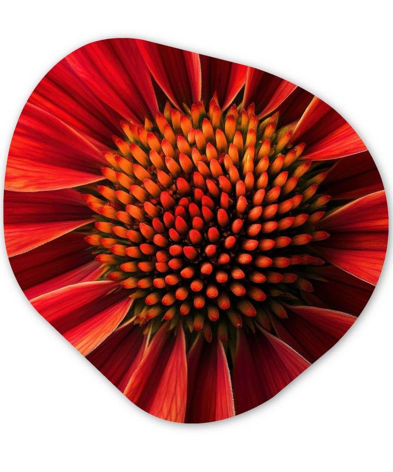 MuchoWow Gemälde Nahaufnahme - Blume - Rot, Fotodruck (1 St), Wandbild Abstrakt, Wohnzimmer Schlafzimmer Wanddekoration, 40x40 cm von MuchoWow