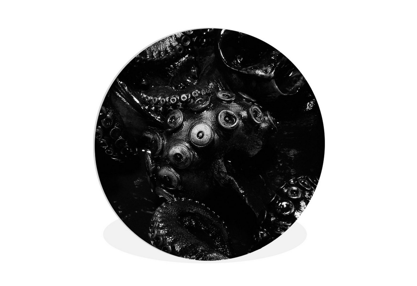 MuchoWow Gemälde Nahaufnahme Oktopus auf schwarzem Hintergrund in schwarz und weiß, (1 St), Rundes wandbild für Wohnzimmer, Wandkreis, Wandschmuck, 90x90 cm von MuchoWow