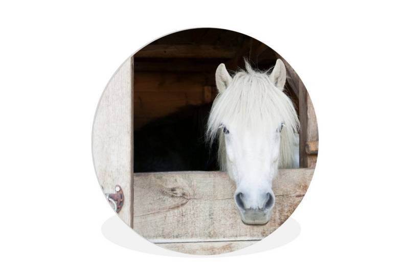MuchoWow Gemälde Pferde - Pferdestall - Regale, Fotodruck (1 St), Rundes wandbild für Wohnzimmer, Wandkreis, 90x90 cm von MuchoWow