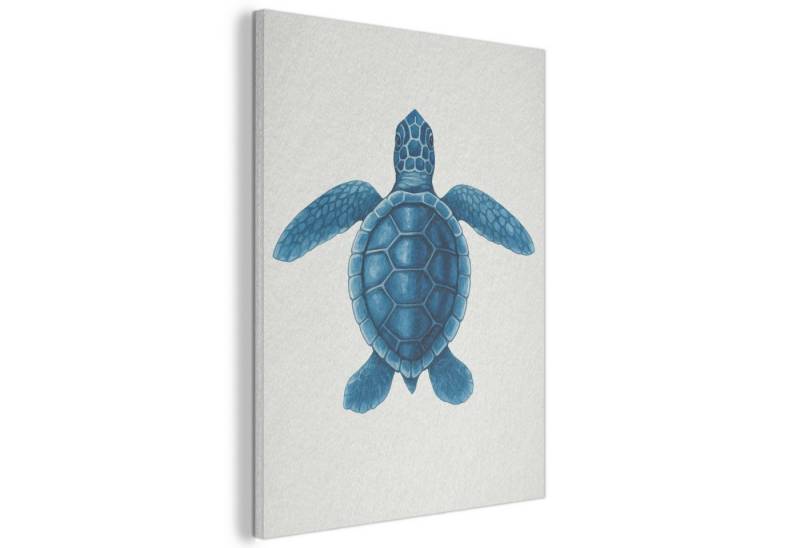 MuchoWow Gemälde Schildkröte - Blau - Schild, Fotodruck (1 St), Akustikpaneele, Wandpaneele, Schalldämmung, Akustikbilder 30x40 cm von MuchoWow