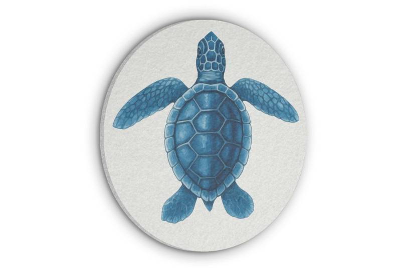 MuchoWow Gemälde Schildkröte - Blau - Schild, Fotodruck (1 St), Akustikpaneele rund, Schalldämmung, Akustikbilder 30x30 cm von MuchoWow