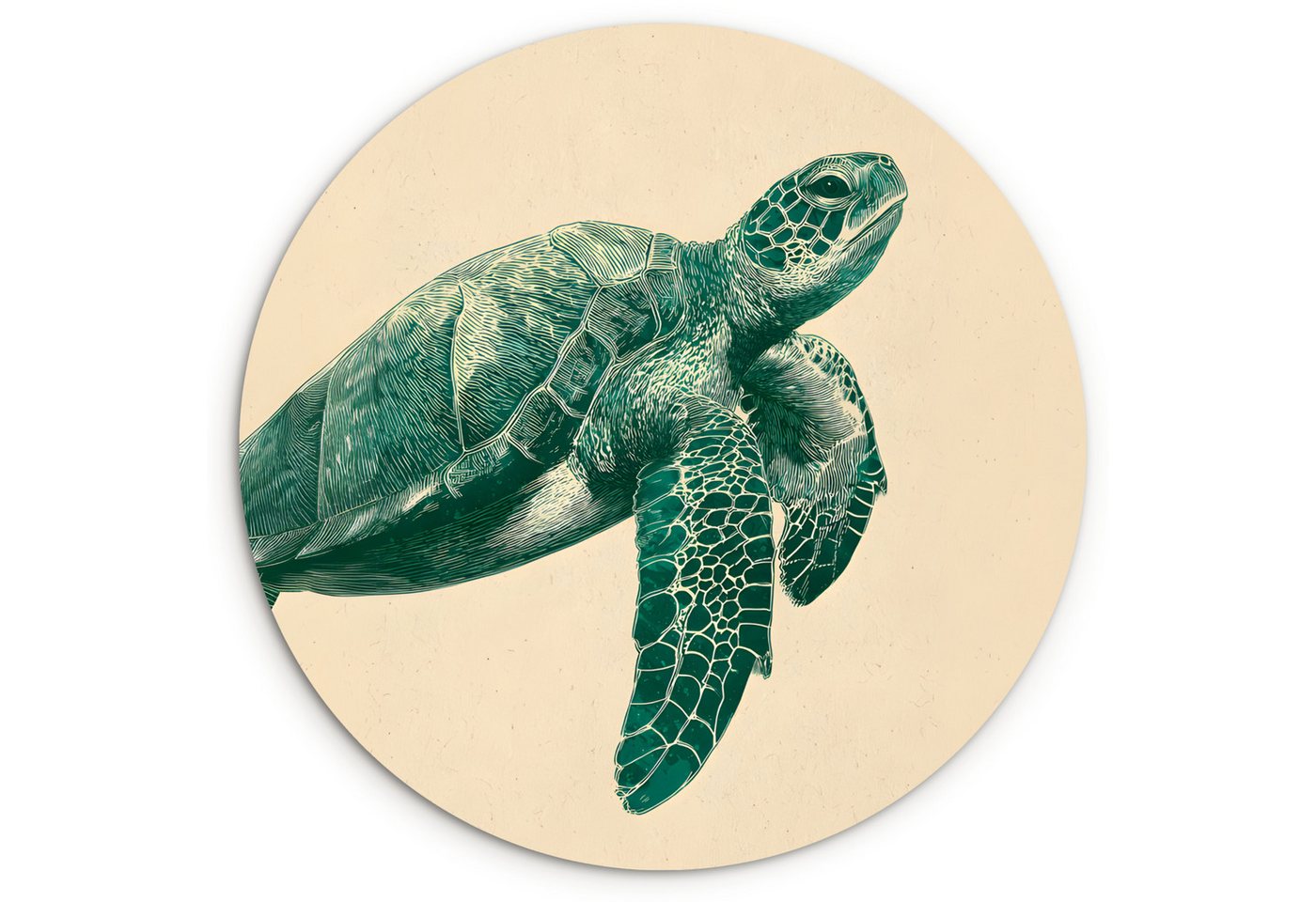 MuchoWow Gemälde Schildkröte - Elegant - Grün - Schild, Fotodruck (1 St), Kreis Wanddekoration, Rundes Wandbild, 30x30 cm von MuchoWow
