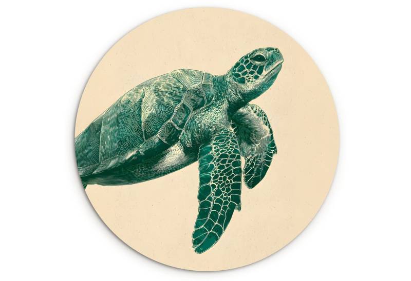 MuchoWow Gemälde Schildkröte - Elegant - Grün - Schild, Fotodruck (1 St), Kreis Wanddekoration, Rundes Wandbild, 30x30 cm von MuchoWow