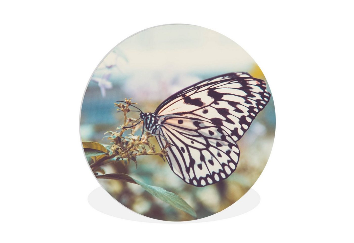 MuchoWow Gemälde Schmetterling - Blumen - Frühling, (1 St), Rundes wandbild für Wohnzimmer, Wandkreis, Wandschmuck, 90x90 cm von MuchoWow