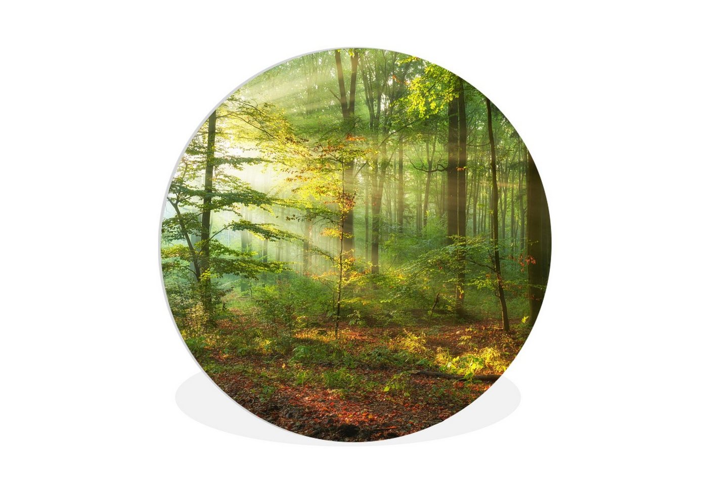 MuchoWow Gemälde Sonne - Wald - Bäume - Natur - Herbst, (1 St), Rundes wandbild für Wohnzimmer, Wandkreis, Wandschmuck, 90x90 cm von MuchoWow