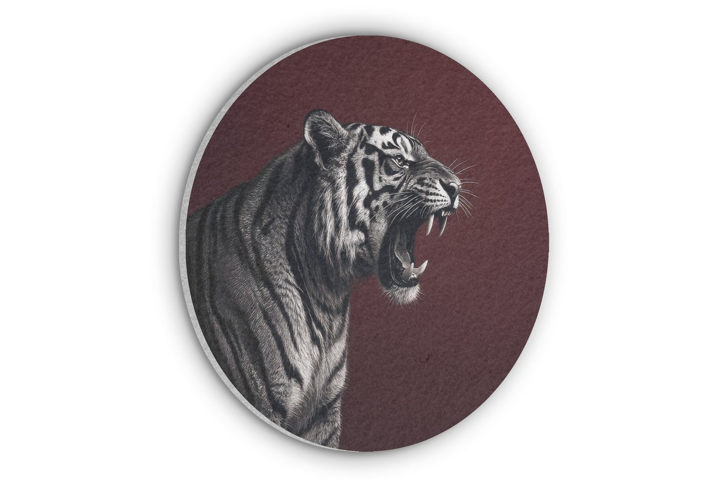 MuchoWow Gemälde Tiger - Brüllen - Bordeaux, Fotodruck (1 St), Akustikpaneele rund, Schalldämmung, Akustikbilder 30x30 cm von MuchoWow