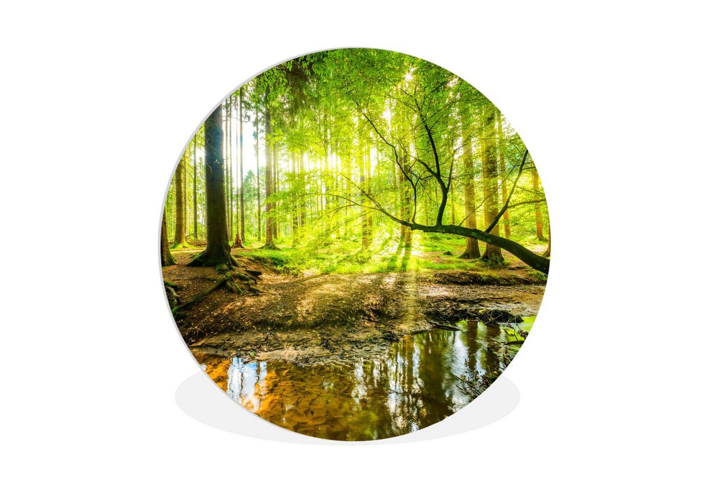 MuchoWow Gemälde Wald - Landschaft - Wasser - Bäume - Sonne - Grün - Natur, (1 St), Rundes wandbild für Wohnzimmer, Wandkreis, Wandschmuck, 90x90 cm von MuchoWow