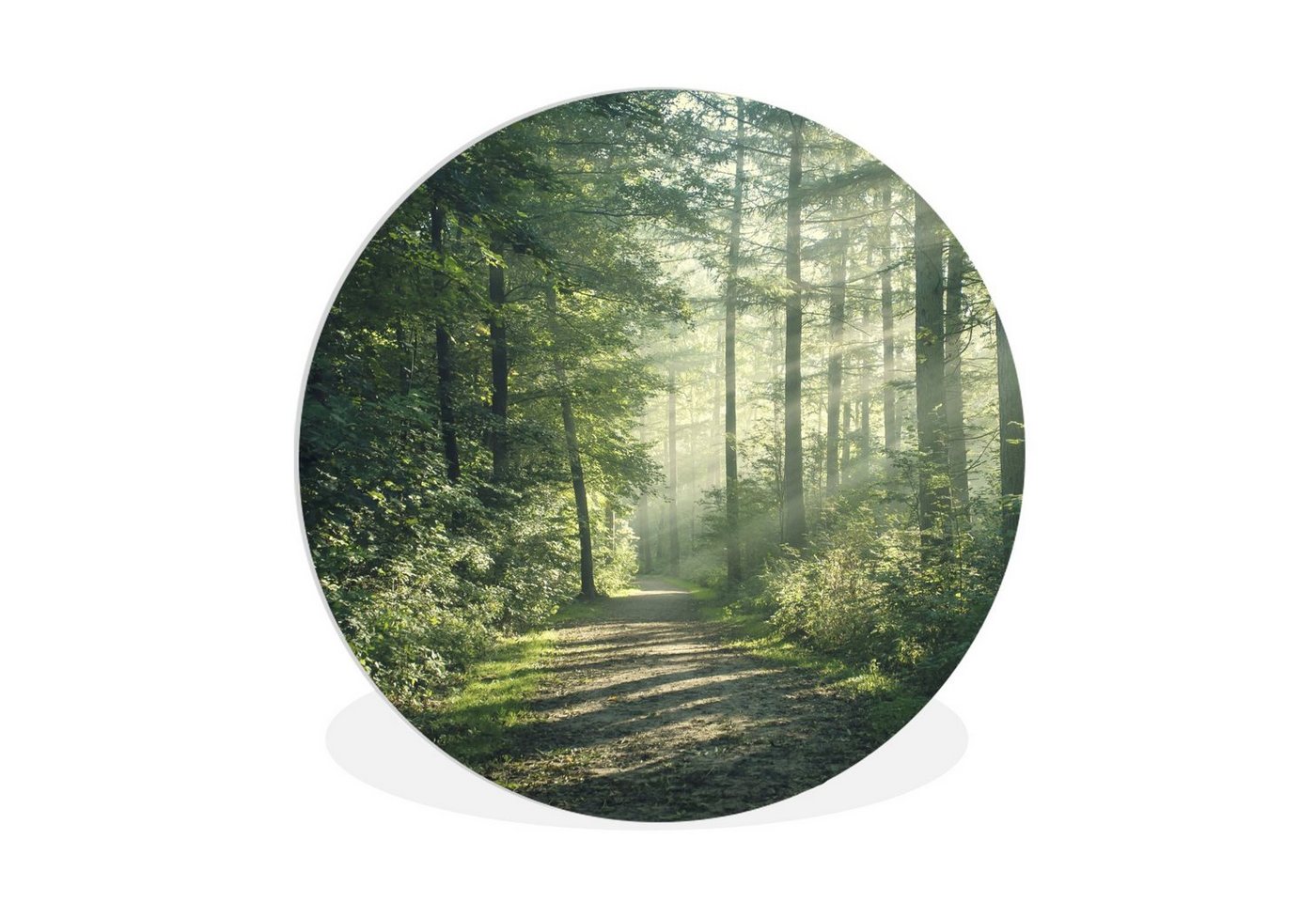 MuchoWow Gemälde Wald - Weg - Sonne - Bäume - Grün - Natur, Waldweg (1 St), Rundes wandbild für Wohnzimmer, Wandkreis, Wandschmuck, 90x90 cm von MuchoWow