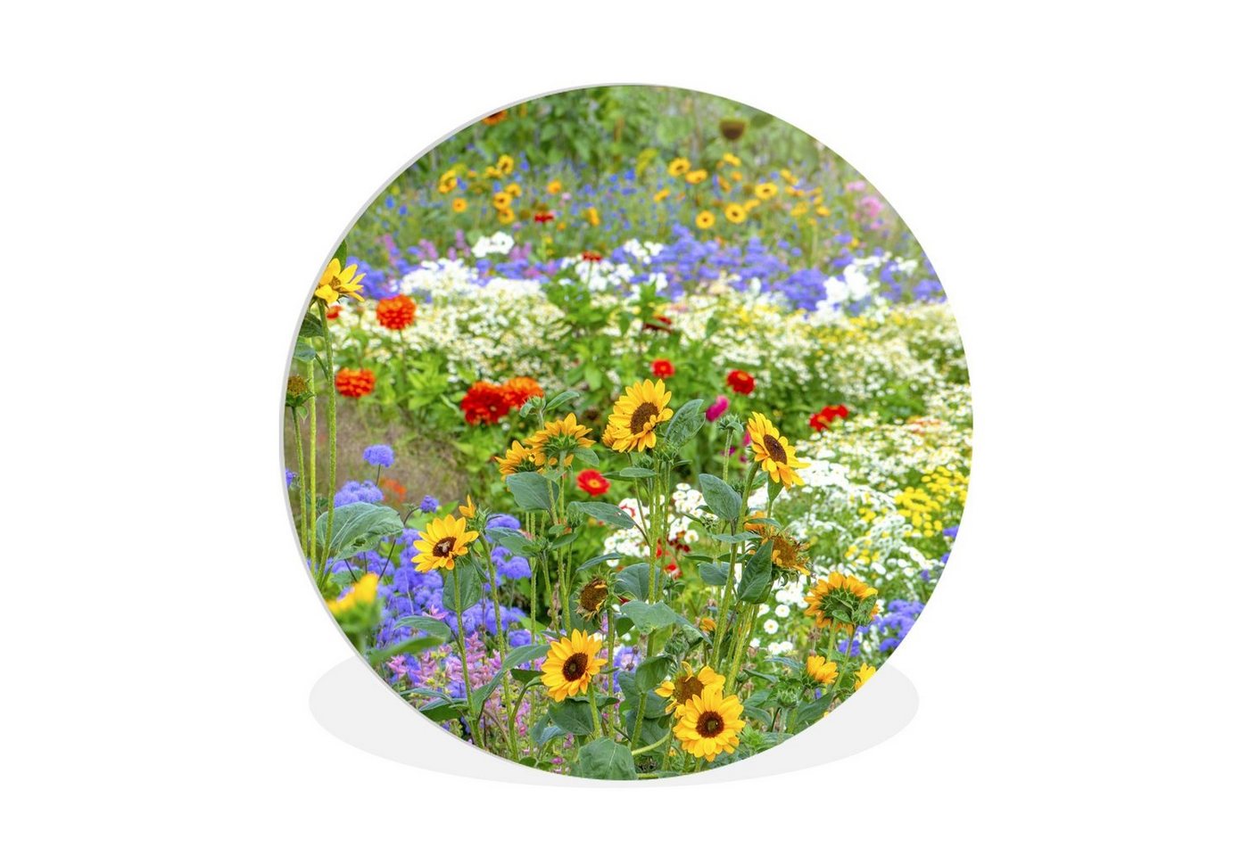 MuchoWow Gemälde Ziergras mit verschiedenen Blumen, Fotodruck (1 St), Kreis Wanddekoration, Rundes Wandbild, 30x30 cm von MuchoWow