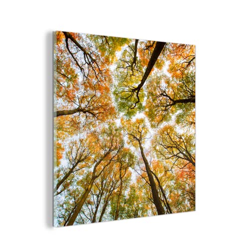MuchoWow Glasbild Glasfoto Wandbild Bilder Deko 20x20 cm Herbst - Himmel - Baum von MuchoWow