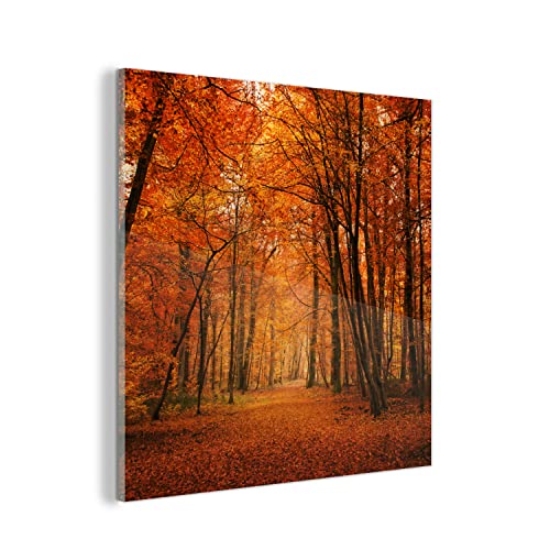 MuchoWow Glasbild Glasfoto Wandbild Bilder Deko 20x20 cm Herbst - Rot - Wald von MuchoWow