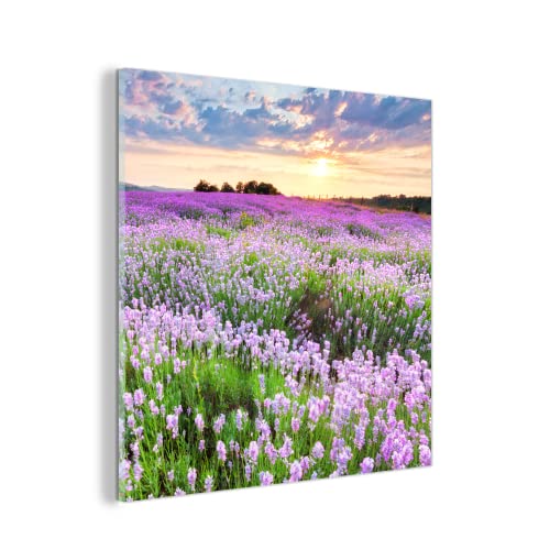 MuchoWow Glasbild Glasfoto Wandbild Bilder Deko 50x50 cm Lavendel - Blumen - Sonnenuntergang - Lila - Wiese von MuchoWow