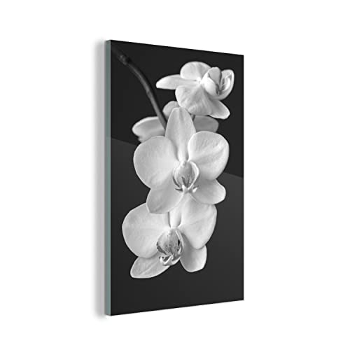 MuchoWow Glasbild Glasfoto Wandbild Bilder Deko 60x90 cm Orchidee mit dunklem Hintergrund - schwarz und weiß von MuchoWow