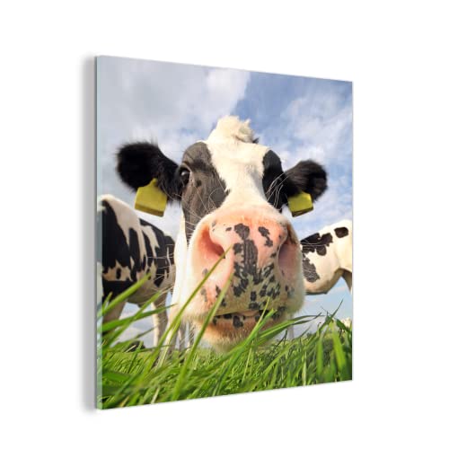MuchoWow Glasbild Glasfoto Wandbild Bilder Deko 90x90 cm Kuh - Bauernhof - Gras - Tiere von MuchoWow