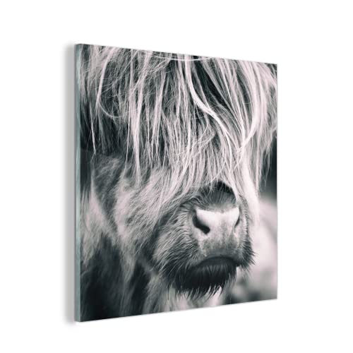 MuchoWow Glasbild Glasfoto Wandbild Bilder Deko 90x90 cm Schottischer Highlander - Kuh - Schwarz - Weiß von MuchoWow