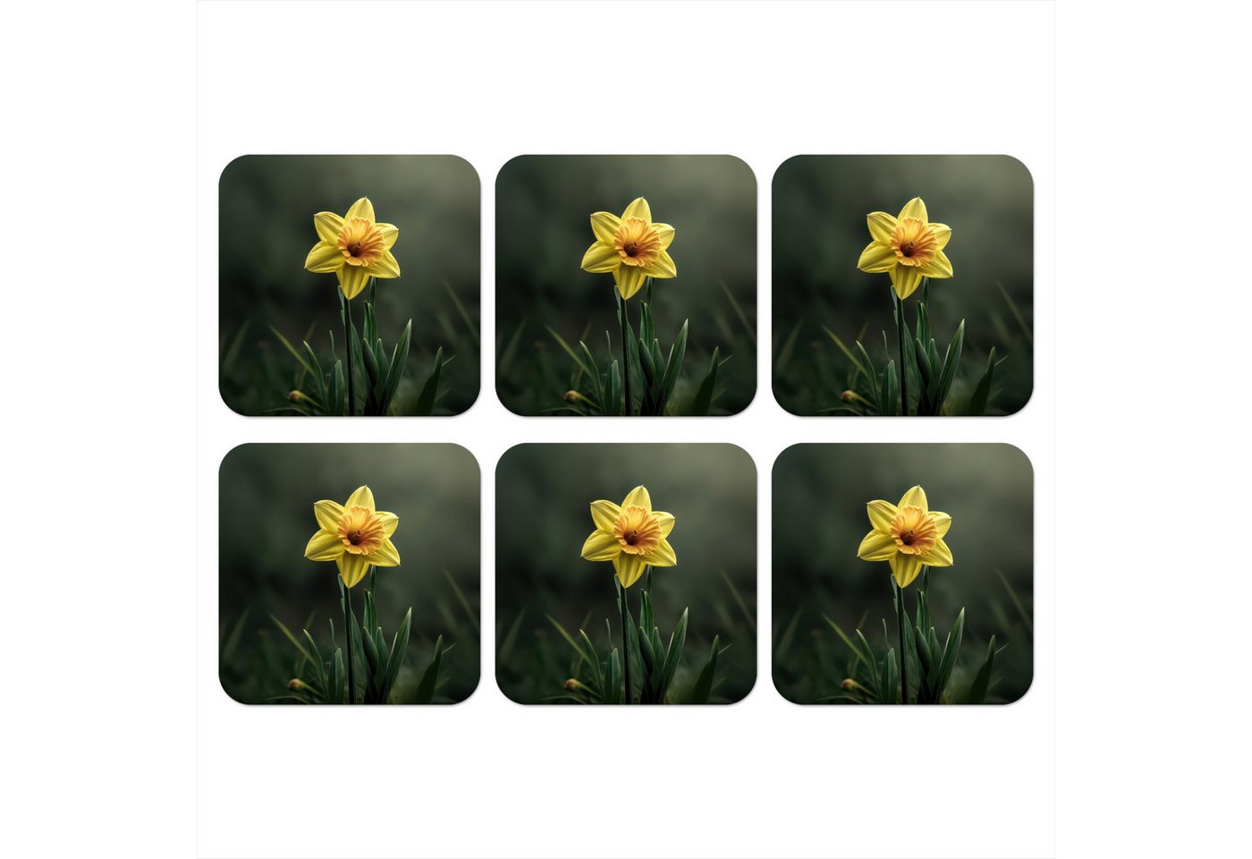 MuchoWow Glasuntersetzer Blume - Narzisse - Gras - Gelb, Zubehör für Gläser, 6-tlg., Tassenuntersetzer Kork, Quadrat, Untersetzer Set Gläser, 10x10 cm von MuchoWow