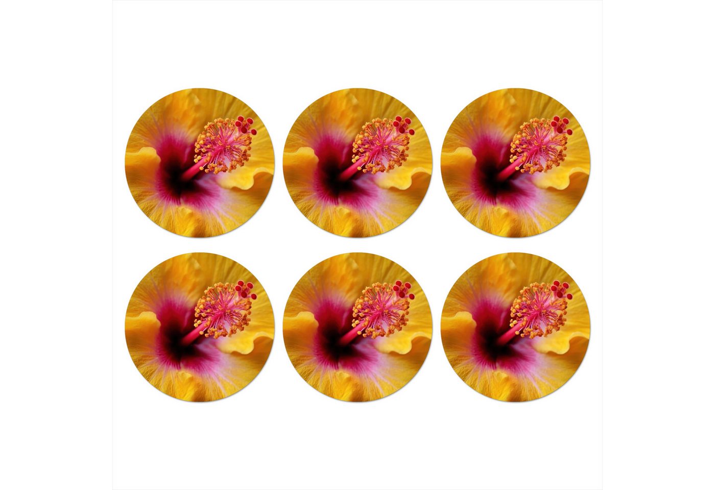 MuchoWow Glasuntersetzer Gelb - Hibiskus - Tropisch, Zubehör für Gläser, 6-tlg., Getränkeuntersetzer, Rund, Tassenuntersetzer Kork, 10x10 cm MuchoWow Glasuntersetzer Gelb - Hibiskus - Tropisch, Zubehör für Gläser, 6-tlg., Getränkeuntersetzer, Rund, Tassenuntersetzer Kork, 10x10 cm von MuchoWow