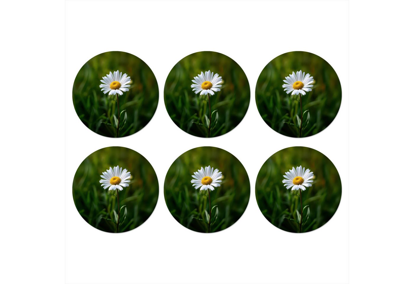 MuchoWow Glasuntersetzer Weiß - Gänseblümchen - Blume - Gras, Zubehör für Gläser, 6-tlg., Getränkeuntersetzer, Rund, Tassenuntersetzer Kork, 10x10 cm MuchoWow Glasuntersetzer Weiß - Gänseblümchen - Blume - Gras, Zubehör für Gläser, 6-tlg., Getränkeuntersetzer, Rund, Tassenuntersetzer Kork, 10x10 cm von MuchoWow