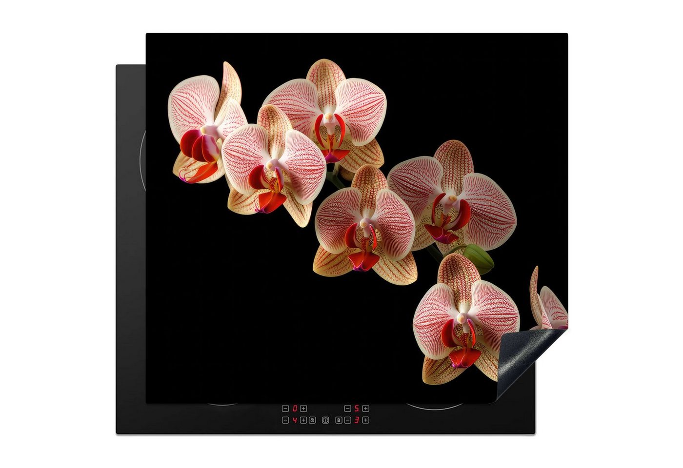 MuchoWow Herd-Abdeckplatte Blumen - Orchidee - Rosa - Botanisch - Natur, Vinyl, (1 tlg), Cerankochfeld Abdeckung, Herd Abdeckplatten Vinyl, 58x51 cm von MuchoWow