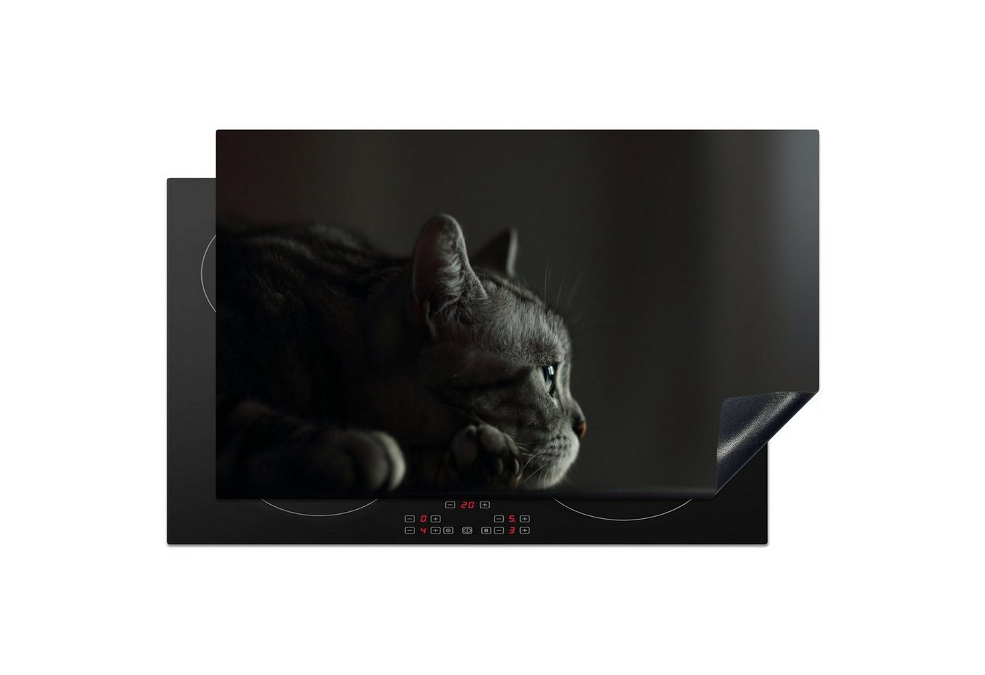 MuchoWow Herd-Abdeckplatte Ein American Shorthair liegt auf dem Tisch, Vinyl, (1 tlg), Herdplattenabdeckung für Ceranfeld, Herdplatten Vinyl, 83x51 cm von MuchoWow
