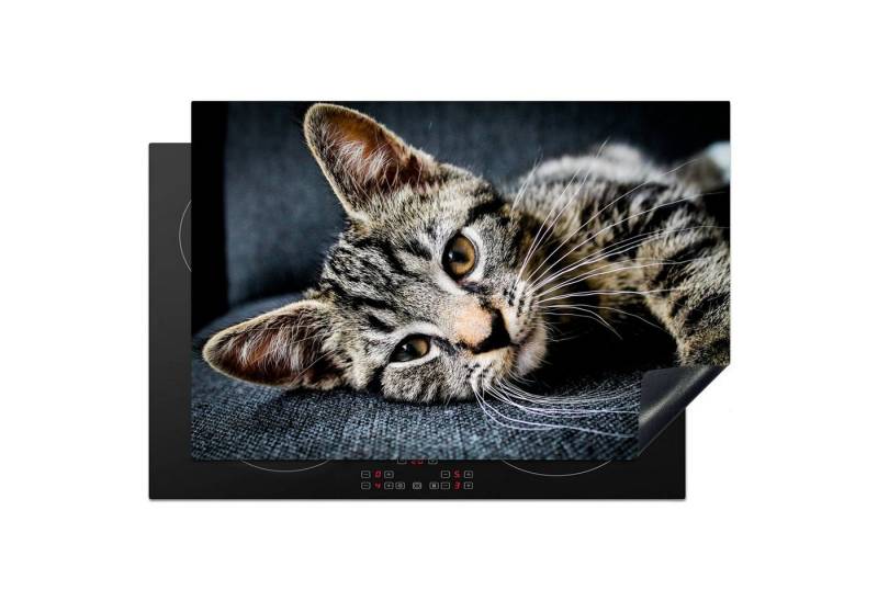 MuchoWow Herd-Abdeckplatte Kater - Bank - Licht, Vinyl, (1 tlg), Induktionsabdeckung Vinyl, Küchenzubehör, 77x51 cm von MuchoWow