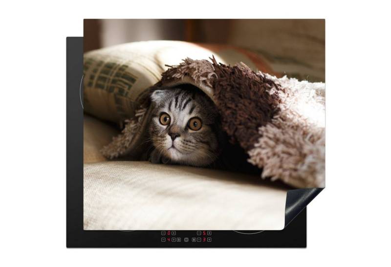 MuchoWow Herd-Abdeckplatte Katze - Decke - Bank, Vinyl, (1 tlg), Abdeckplatte für Ceranfeld, Herd Inductionsmatte, 57x51 cm von MuchoWow