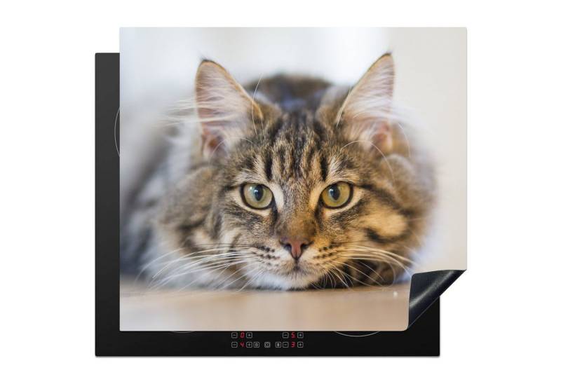 MuchoWow Herd-Abdeckplatte Katze - Fell - Augen, Vinyl, (1 tlg), Cerankochfeld Abdeckung, Herd Abdeckplatten Vinyl, 58x51 cm von MuchoWow