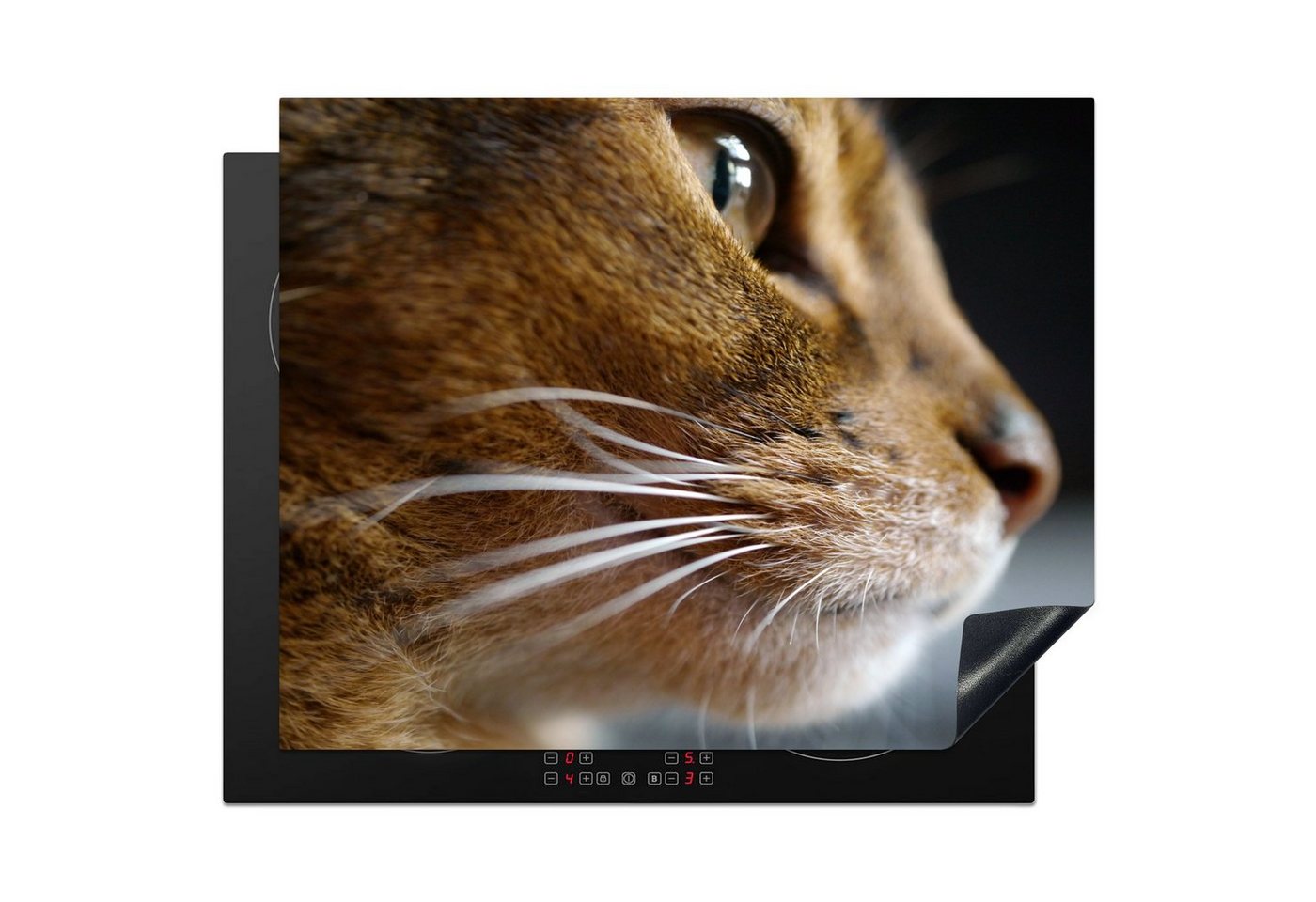 MuchoWow Herd-Abdeckplatte Katze - Tiere - Abessinier - Porträt, Vinyl, (1 tlg), Ceranfeldabdeckung Küche, Herdabdeckplatte Einteilig, 59x51 cm von MuchoWow