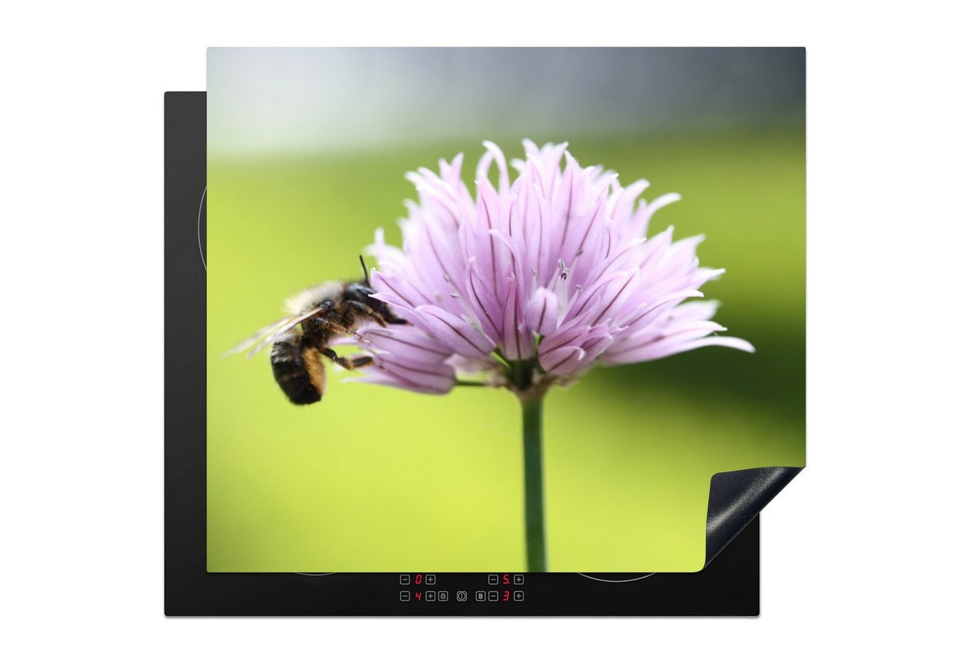 MuchoWow Herd-Abdeckplatte Nahaufnahme einer Biene auf einer Schnittlauchblüte, Vinyl, (1 tlg), Ceranfeldabdeckung Küche, Herdabdeckplatte Einteilig, 60x52 cm von MuchoWow
