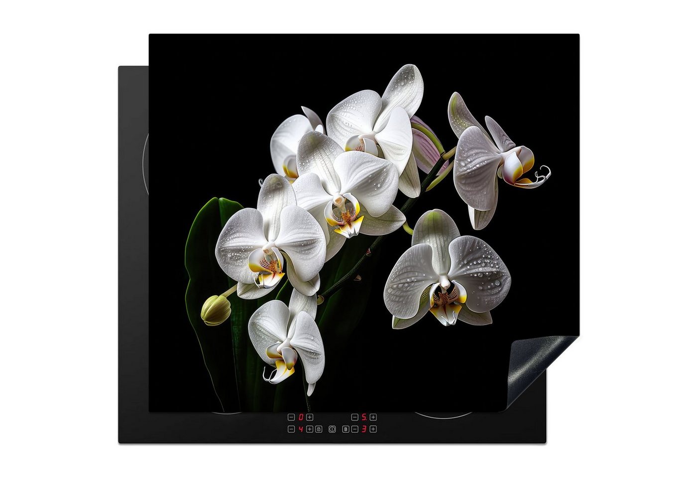 MuchoWow Herd-Abdeckplatte Orchidee - Blumen - Weiß - Natur - Schwarz, Vinyl, (1 tlg), Ceranfeldabdeckung Küche, Herdabdeckplatte Einteilig, 60x52 cm von MuchoWow