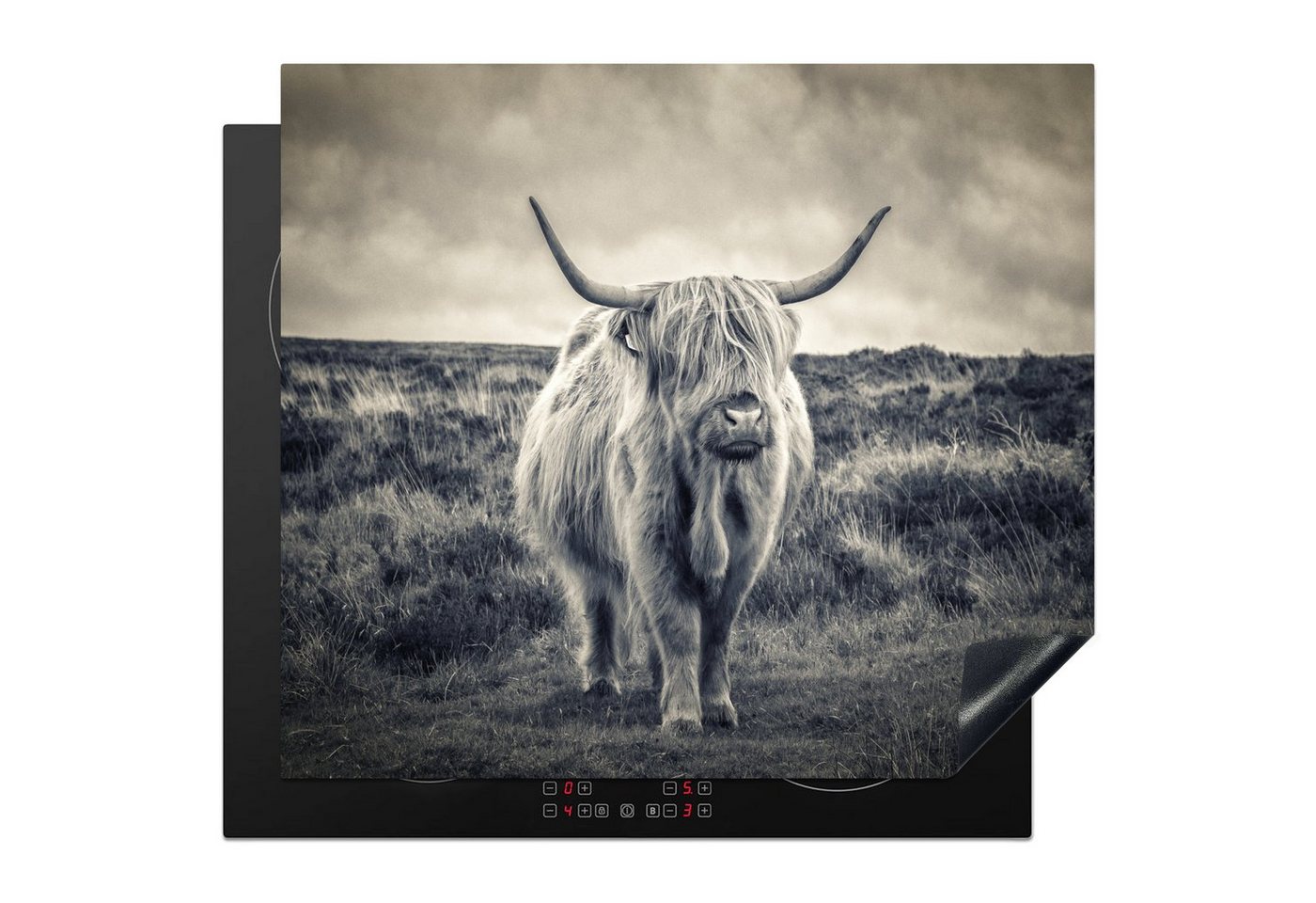 MuchoWow Herd-Abdeckplatte Schottischer Hochländer - Tiere - Wolken - Kuh - Natur, Vinyl, (1 tlg), Cerankochfeld Abdeckung, Herd Abdeckplatten Vinyl, 58x51 cm von MuchoWow