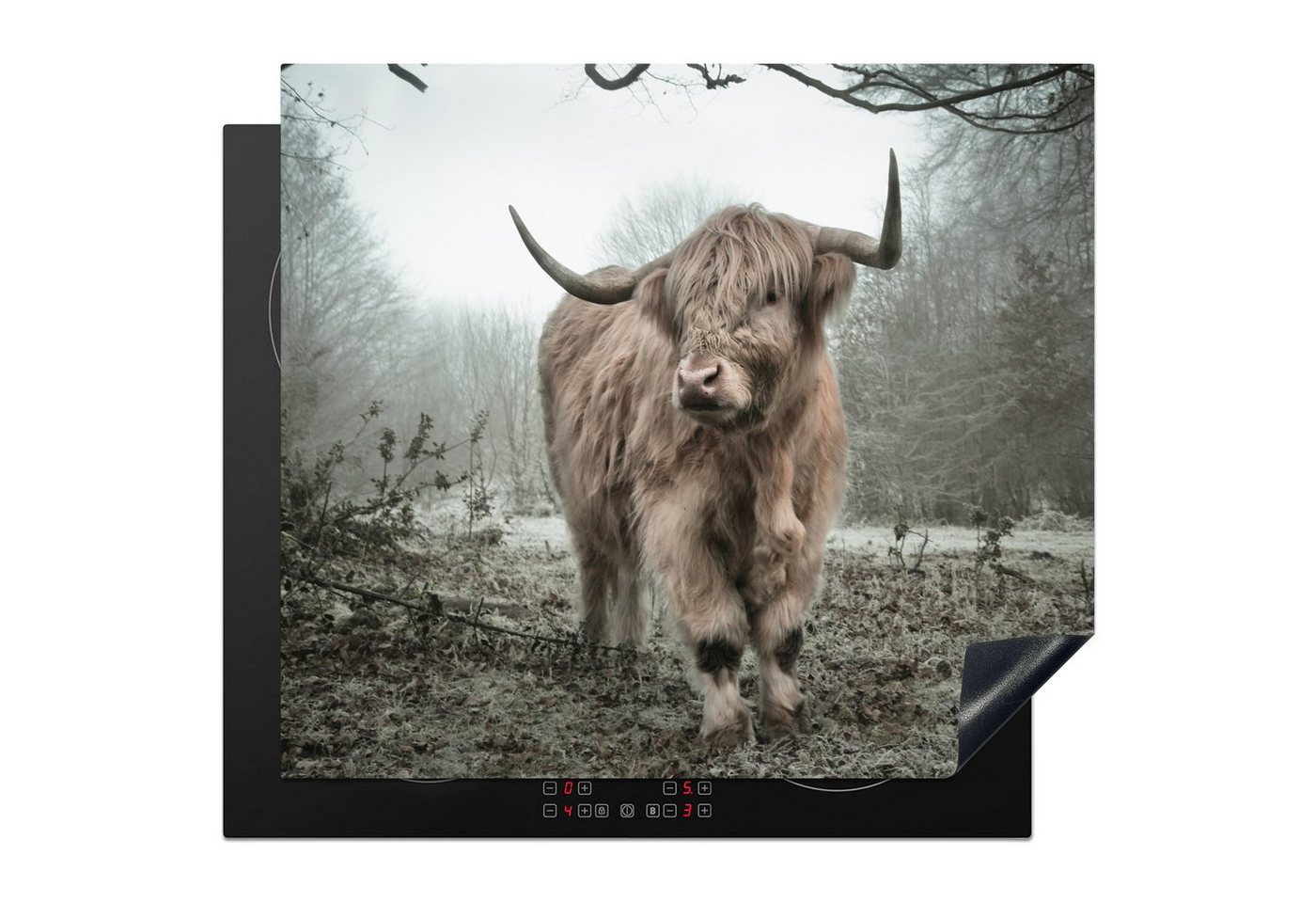 MuchoWow Herdblende-/Abdeckplatte Schottische Highlander - Natur - Herbst - Tiere - Wildtiere - Wald, Vinyl, (1 tlg), 57x51 cm, Induktionsschutz, Induktionskochfeld, Ceranfeldabdeckung von MuchoWow