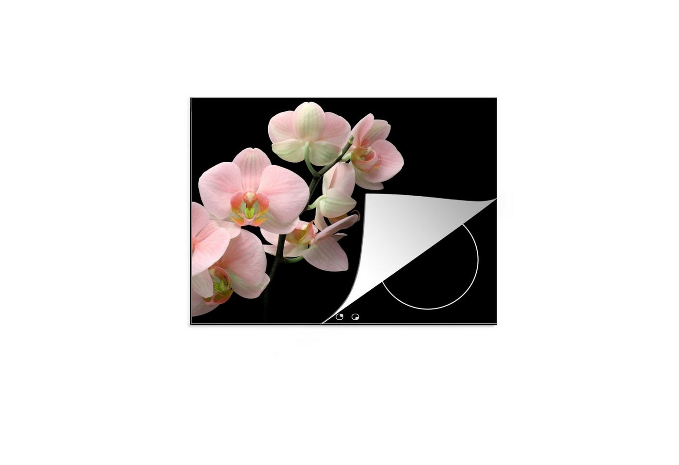 MuchoWow Herdblende-/Abdeckplatte Orchidee - Blumen - Rosa - Stilleben - Flora, Vinyl, (1 tlg), 59x52 cm, Ceranfeldabdeckung für die küche, Induktionsmatte von MuchoWow