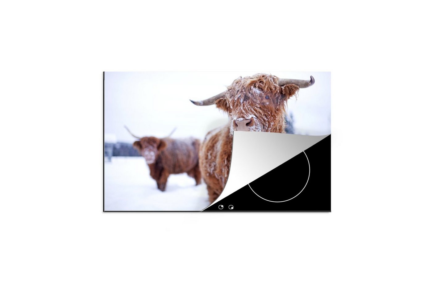 MuchoWow Herdblende-/Abdeckplatte Schottischer Highlander - Schnee - Schneeflocke - Fell, Vinyl, (1 tlg), 81x52 cm, Induktionskochfeld Schutz für die küche, Ceranfeldabdeckung von MuchoWow