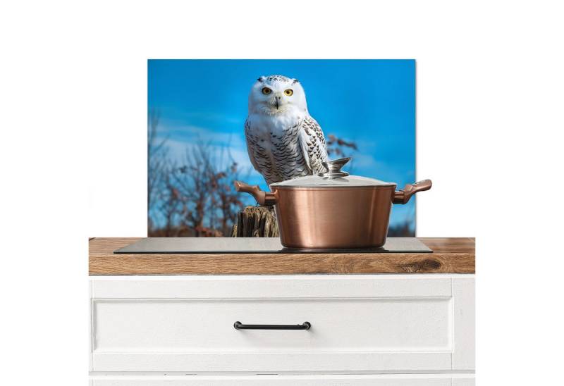 MuchoWow Küchenrückwand Eule - Natur - Tier - Weiß - Luft - Baumstamm, (1-tlg), Spritzschutz Küche, Küchendeko, 60x40 cm von MuchoWow