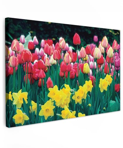 MuchoWow Leinwand Bilder, Einzigartige Wanddeko mit Rahmen, Frühling - Tulpen - Narzissen, Wandbilder Wohnzimmer, Deko Schlafzimmer 30x20 cm von MuchoWow